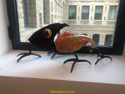 Exposición de Flyppy 2023